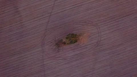 Plowed fields with withered trees. Aerial top down footage. Stock Footage 154273670