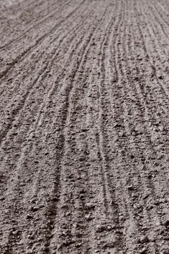 Plowed furrows in the ground 스톡 사진