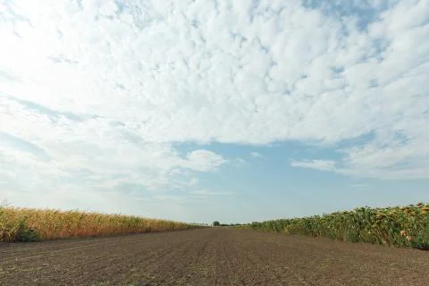 Plowed land field Stock Photos