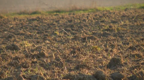 Plowed land Stock-Footage 38748921