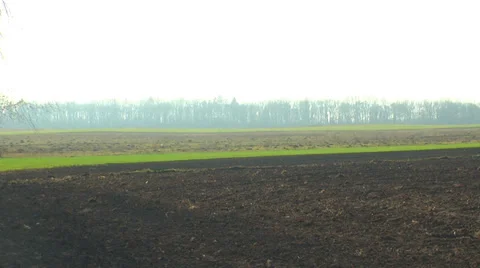 Plowed land Stock Footage 38748924