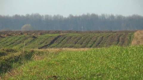 Plowed land Stock Footage 38749224