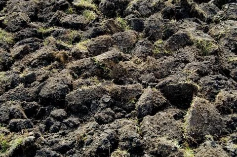 Plowed land. Stock Photos