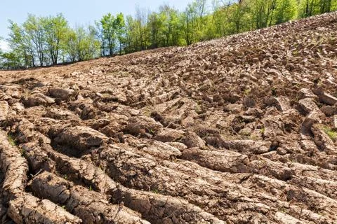 Plowed land Free Stock Photos