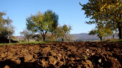 Plowed land before winter Stock Footage 57300497