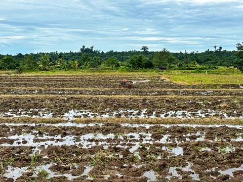 Plowed rice fields Stock Photos