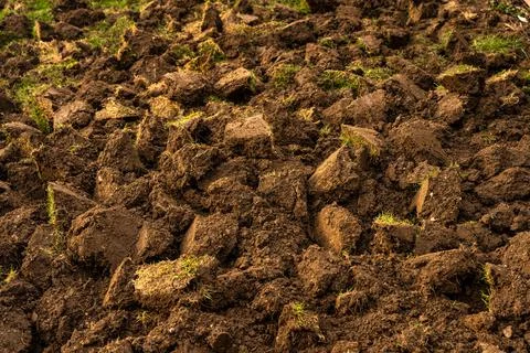 Plowed soil, brown chunks of the ground texture bg, grass Stock Photos