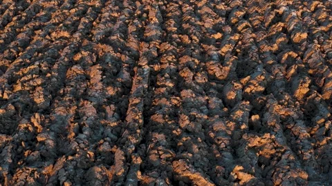 Plowed soil 스톡 동영상 321402395