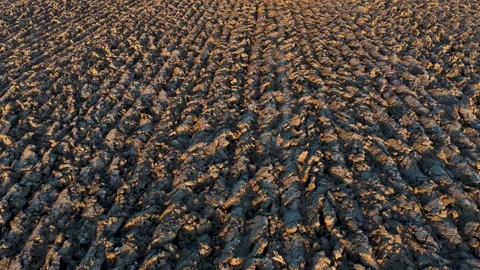 Plowed soil Video stock 321402407