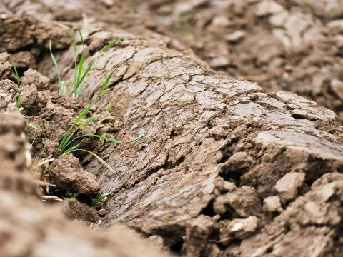 Plowed soil Stock Photos