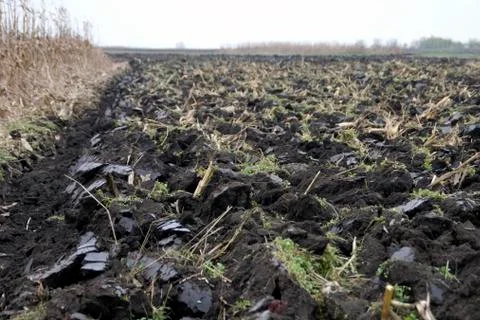 Plowed soil Stock Photos