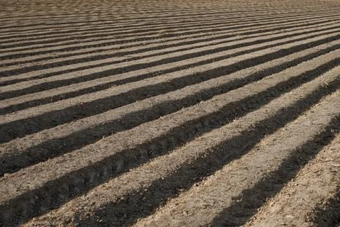 Plowed soil Foto stock