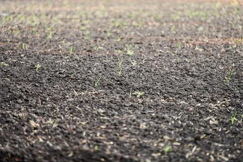 Plowed soil Stock Photos