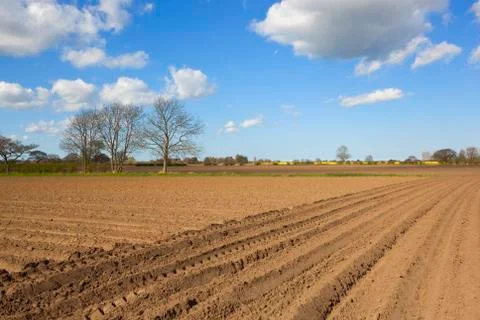 Plowed soil in springtime Foto stock