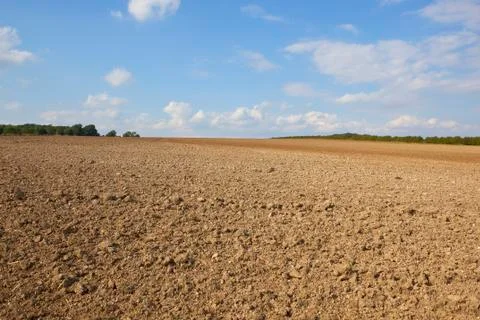 Plowed soil in summer Stock Photos