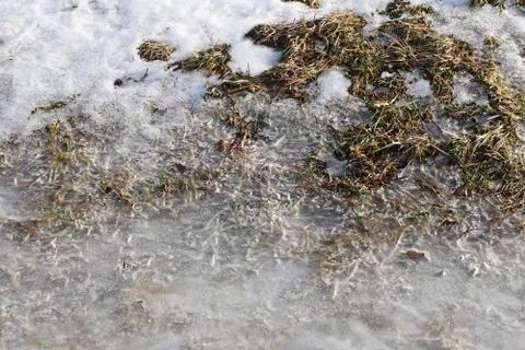 Plowed spring field. The beginning of the season of field work. Agro-industri Stock Photos
