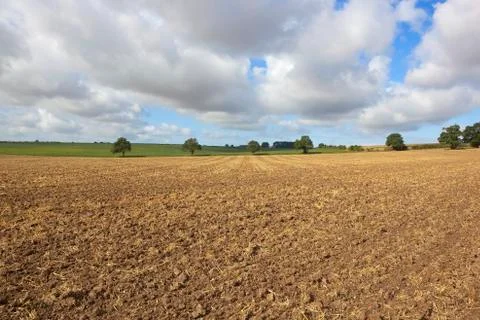 Plowed stubble Stock Photos