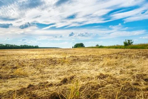 Plowed wheat field Stock Photos