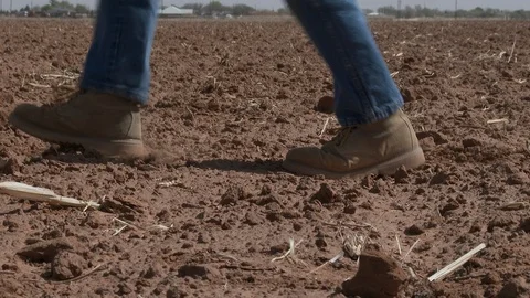 Plowed, wind blown field as booted feet cross in front of camera, 4K. Stock Footage 101665914