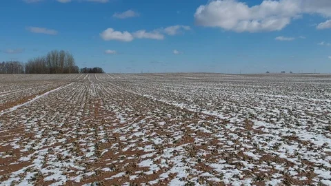 Plowed winter end agritulture fields, aerial view Stock Footage 93381228