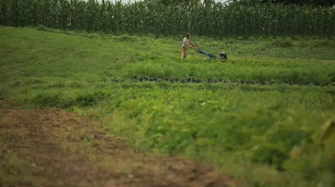 Plower on Field 動画素材 594587