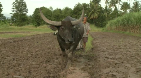 Plowing 4 Video stock 485322