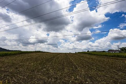 Plowing Empty Cornfield Prepared Stock-Fotos