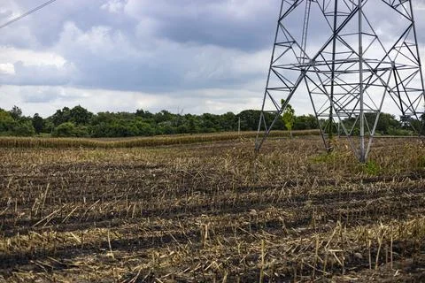Plowing Empty Cornfield Prepared Stock-Fotos