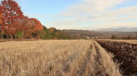 Plowing the field _4 Video stock 12519369