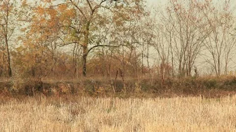 Plowing the field _5 Stock Footage 12518361