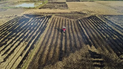 Plowing field in the evening by a tractor. Stockbeeldmateriaal 326359556