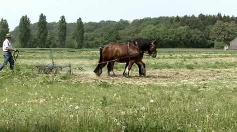 Plowing field Stock Footage 8577249
