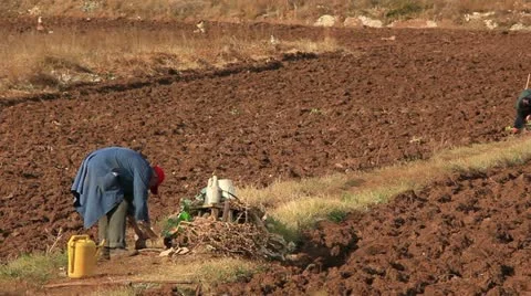 Plowing the field Stock Footage 12525567