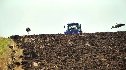 Plowing in the field by a tractor with a trailed unit Stock Footage 145943661
