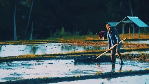 Plowing the fields Stock Footage 183399241