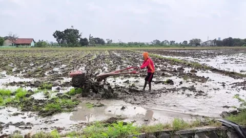 Plowing Fields Stock Footage 276223429