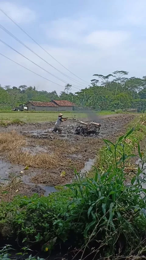 Plowing the fields in the morning 動画素材 220267092
