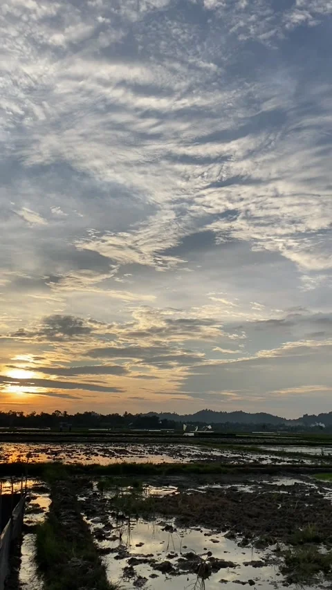 Plowing the fields while watching the sunset Stock Footage 206320234