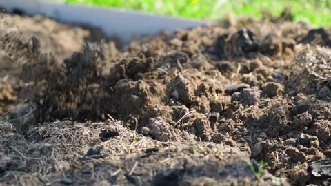 Plowing a garden bed with a flat cutter, close up, slow motion Video stock 311108083