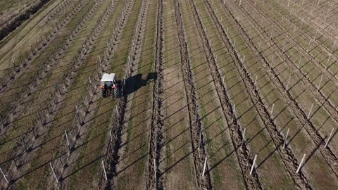 Plowing harrowing between rows of vineyard Stock Footage 151551121