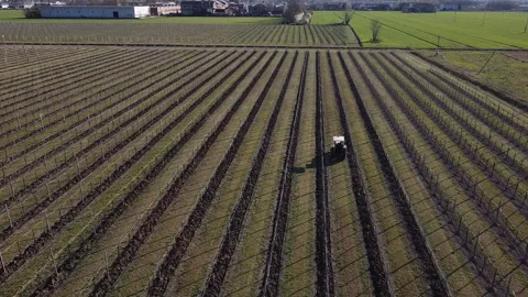 Plowing harrowing between rows of vineyard Video stock 151551409