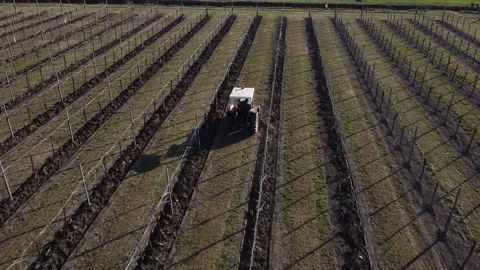 Plowing harrowing between rows of vineyard Stock Footage 151551416