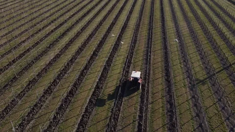Plowing harrowing between rows of vineyard Stock Footage 151551546