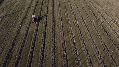 Plowing harrowing between rows of vineyard Vídeos de archivo 151551901