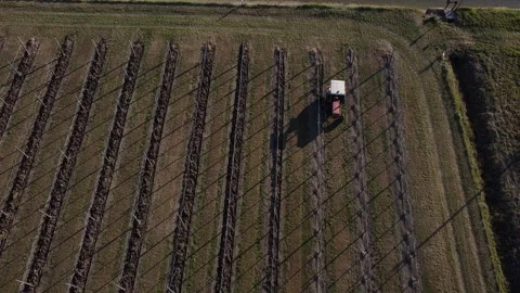 Plowing harrowing between rows of vineyard Vídeo Stock 151551909