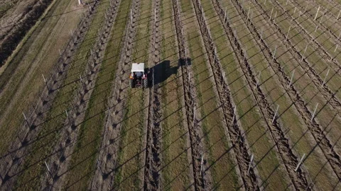 Plowing harrowing between rows of vineyard Stock Footage 151552127