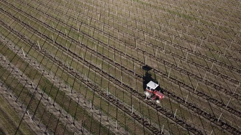 Plowing harrowing between rows of vineyard Stock-Footage 151552149