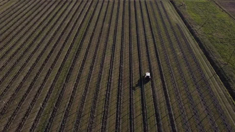 Plowing harrowing between rows of vineyard Vídeo Stock 151552288