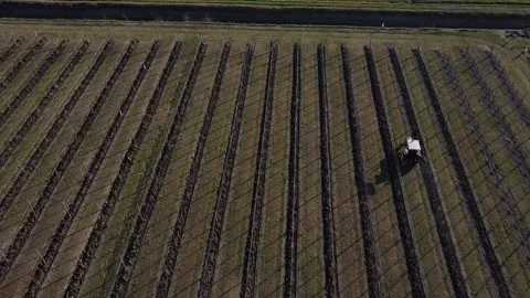 Plowing harrowing between rows of vineyard Stock Footage 151552639