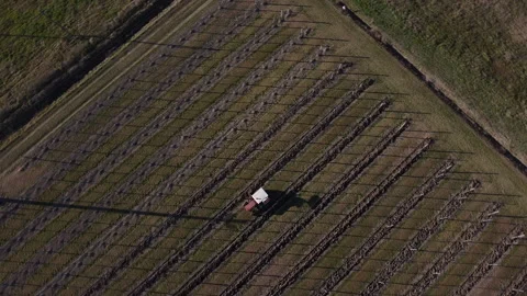 Plowing harrowing between rows of vineyard Stock Footage 151552703